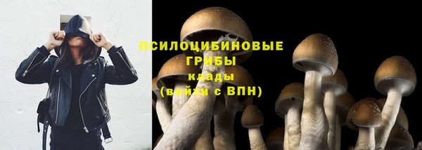 mdpv Михайлов