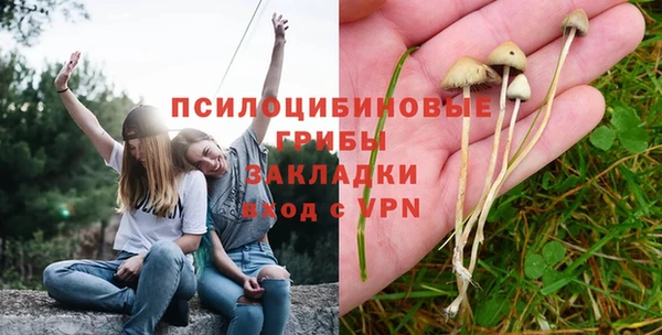 ECSTASY Михайловск