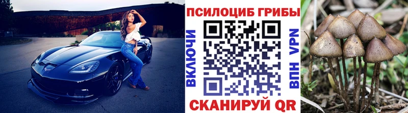 Псилоцибиновые грибы ЛСД  Купить  Кудрово 