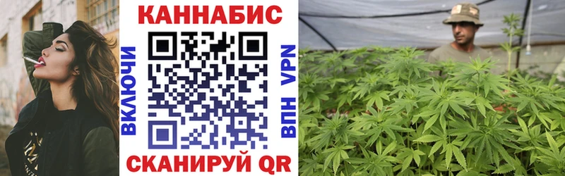 Бошки марихуана Bruce Banner  Купить закладки  Кудрово 